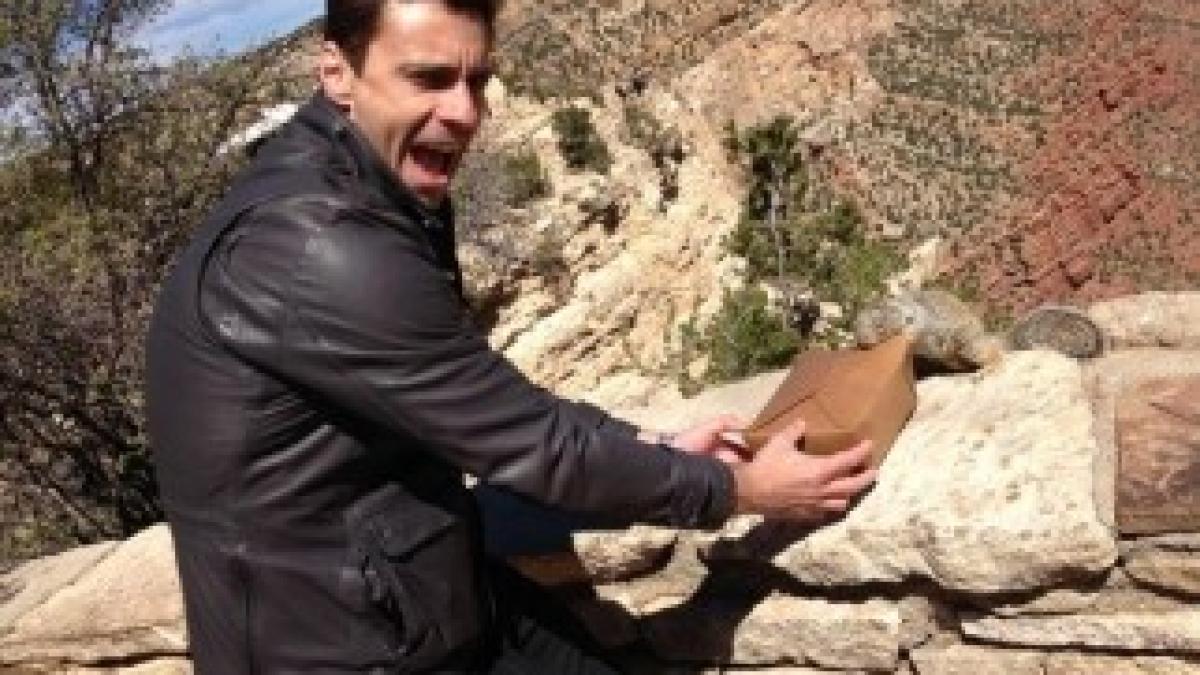 mircea-badea-veverita