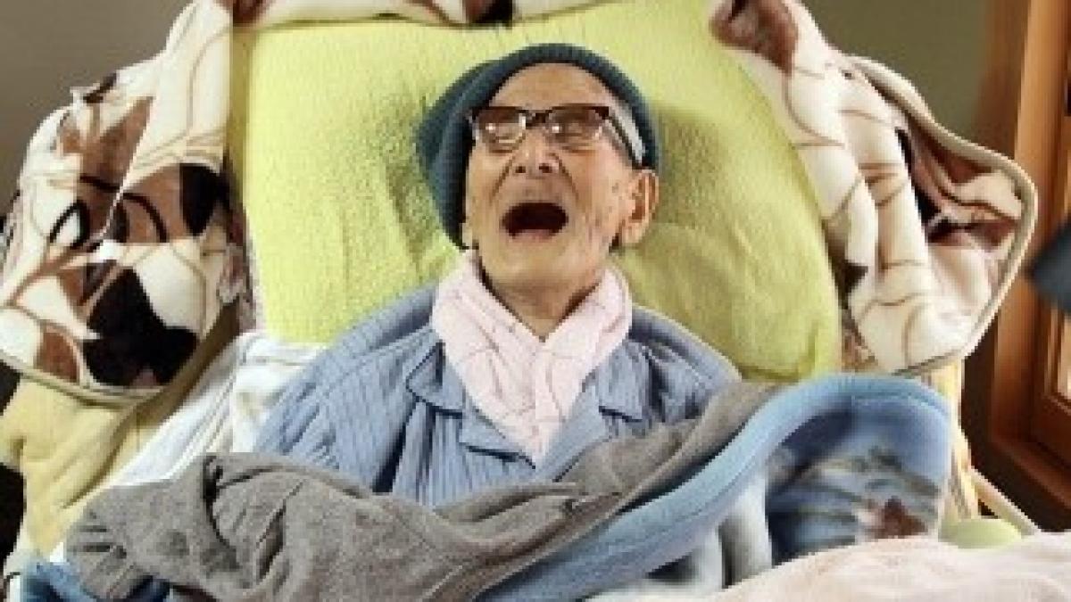 article-2311483-19618833000005DC-306_634x426