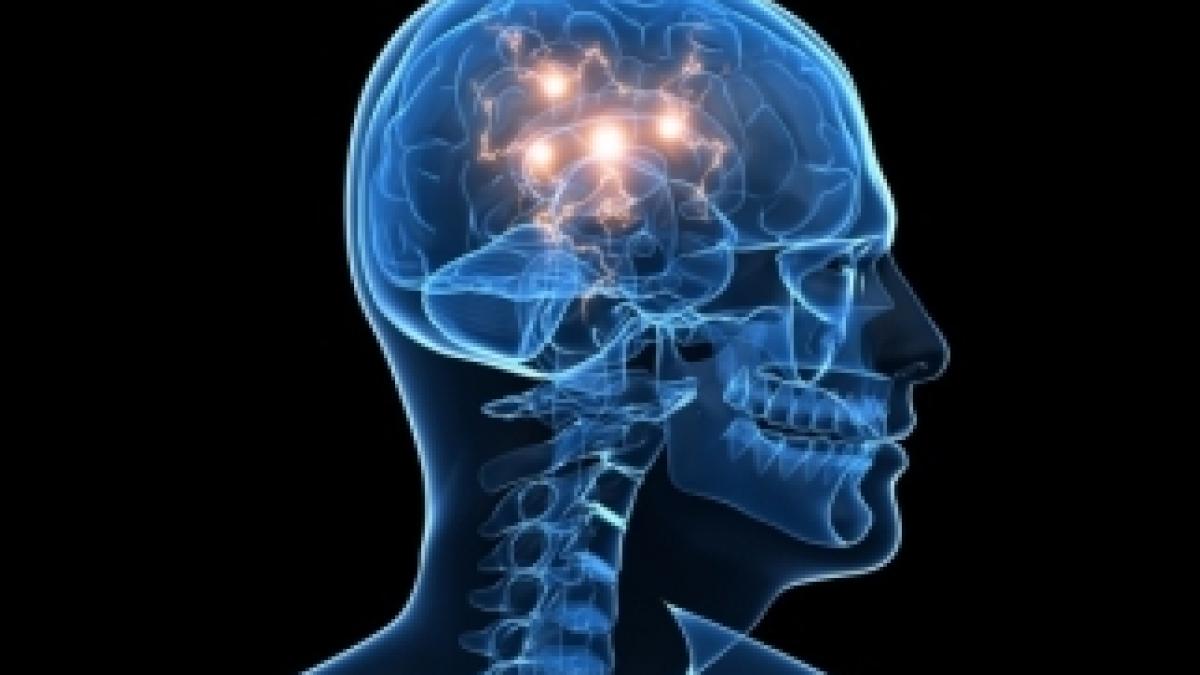 what-do-you-know-about-the-human-brain-853894269-oct-18-2012-1-600x400