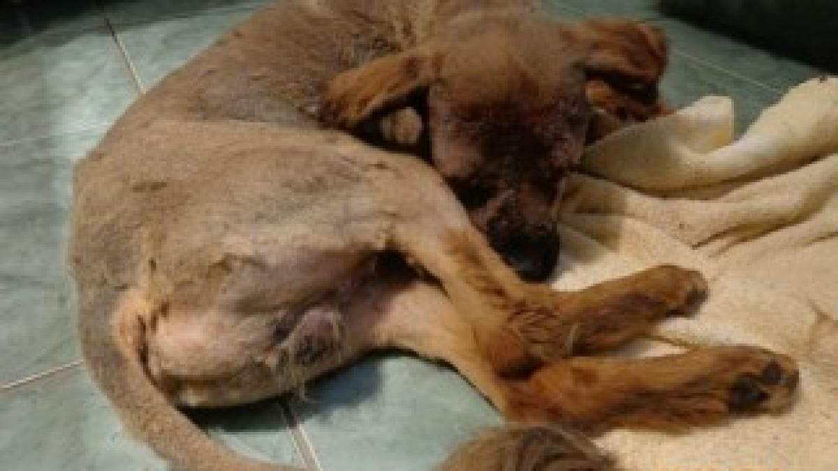 996728_441410379300241_1137130670_n1