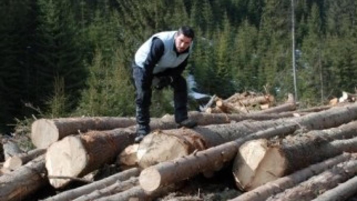 alex-dima-a-fost-premiat-pentru-reportajul-despre-defrisari-de-la-romania-te-iubesc_2