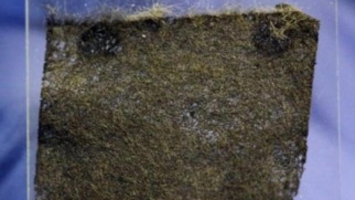 article-2368533-1AE0739D000005DC-850_634x356