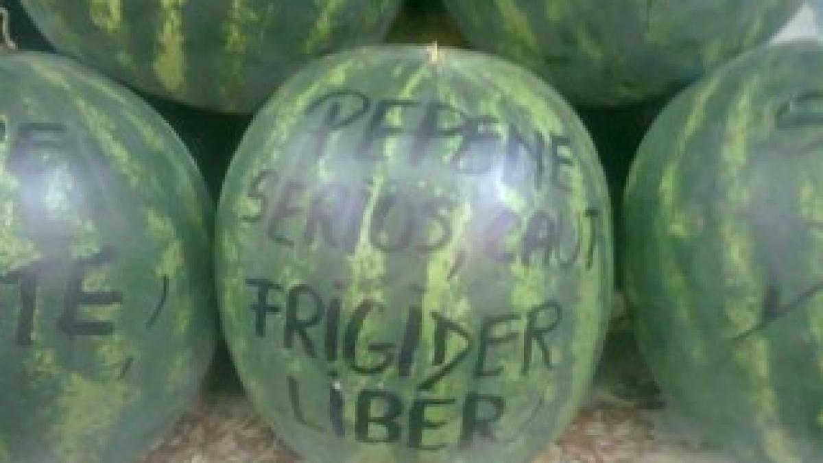 media_137528750732506700