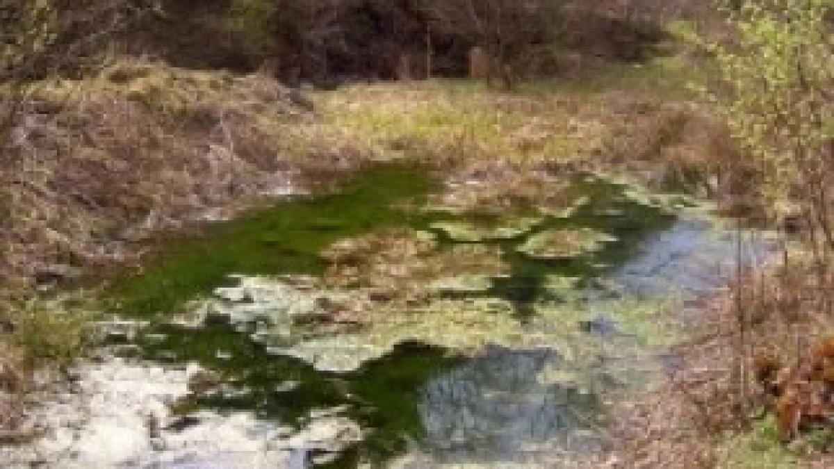 afla-de-unde-isi-iau-vrajitoarele-puterile-si-cum-le-transmit-mai-departe-258