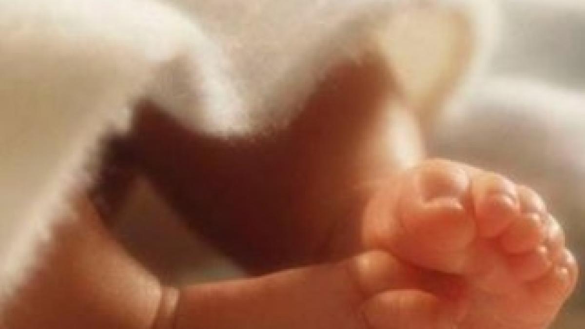 944626_10151639198787266_1204672993_n