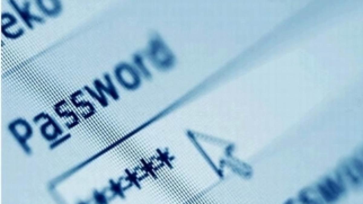 google-password-portable