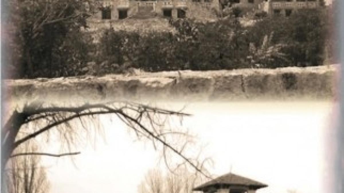 palat-familia-regala