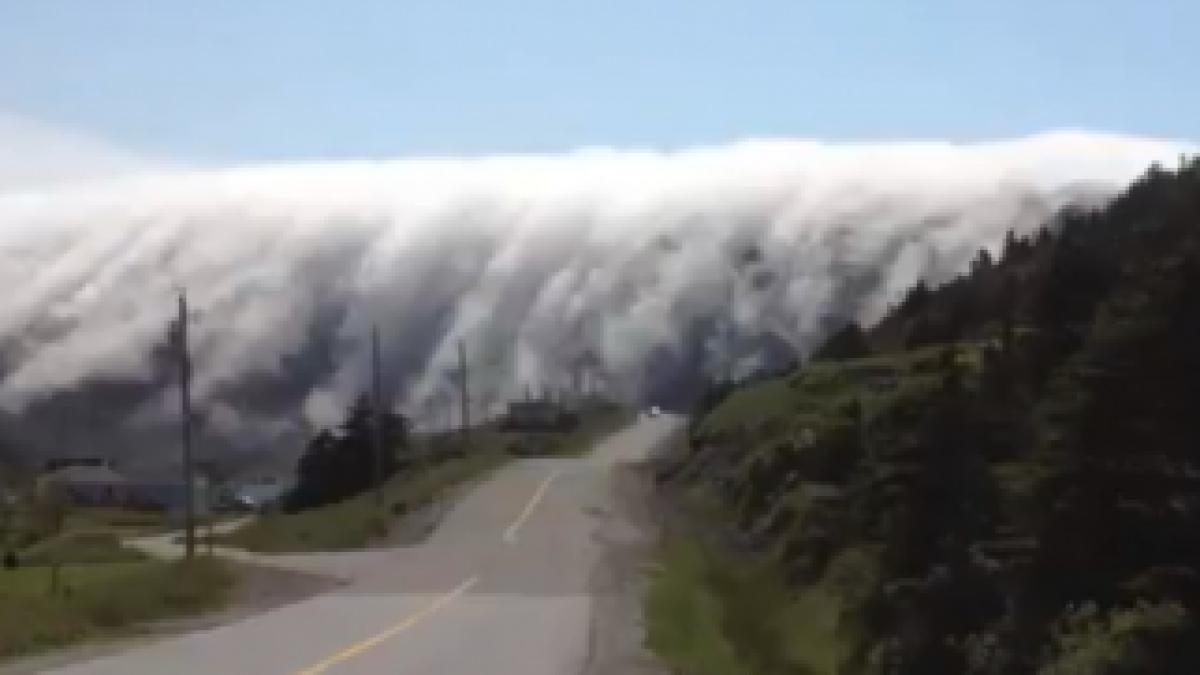 Screen-Shot-2013-08-22-at-8.37.21-AM