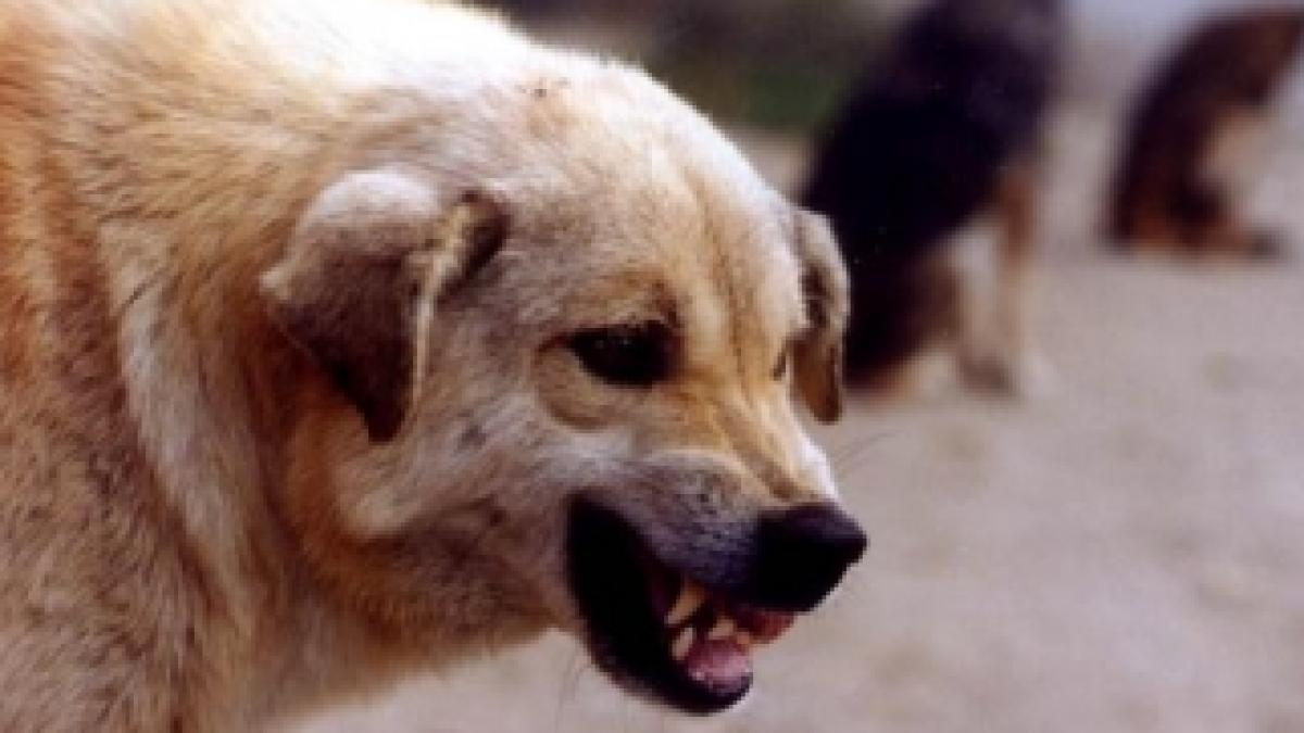 52246fc095f9cf1d3e000000