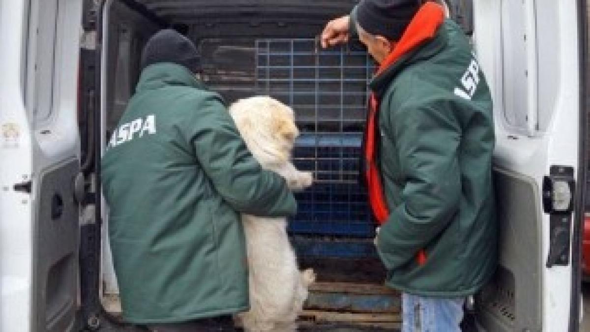 02hingheri_OC_ea4cb2fe8c