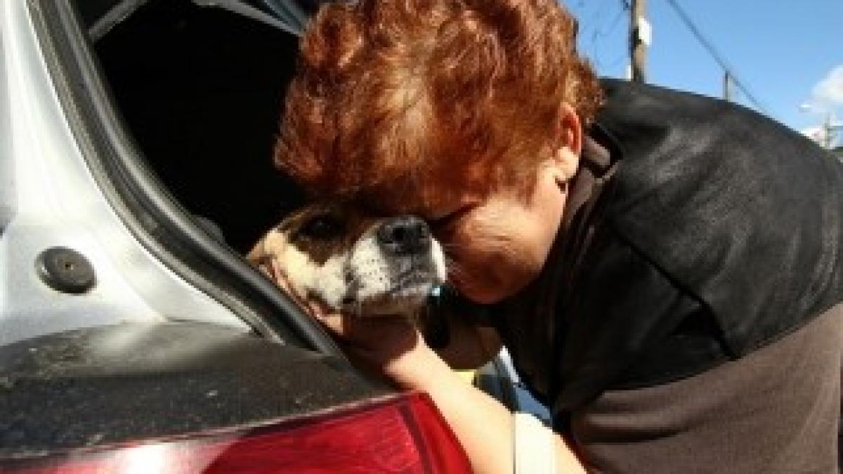 970193_10151588176361644_526789375_n