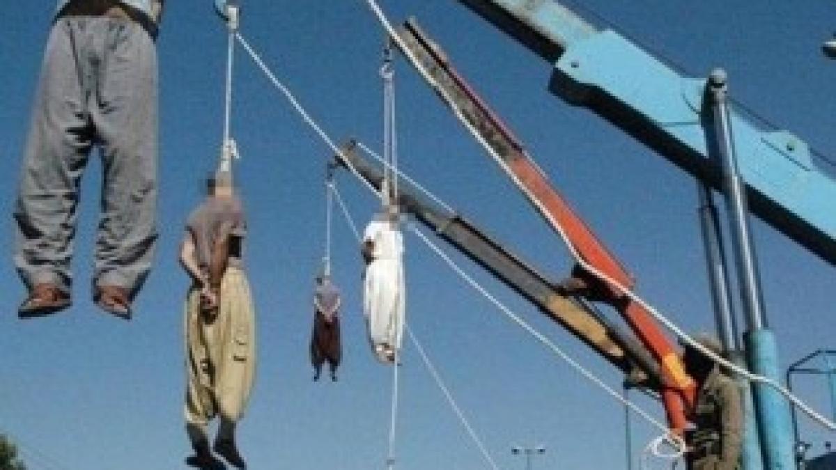 Condamnare-novinite.com_