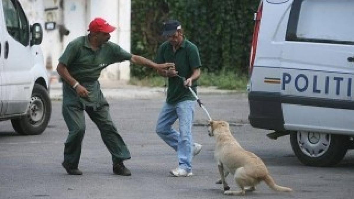 04_Hingheri_RZV_5abb702d56