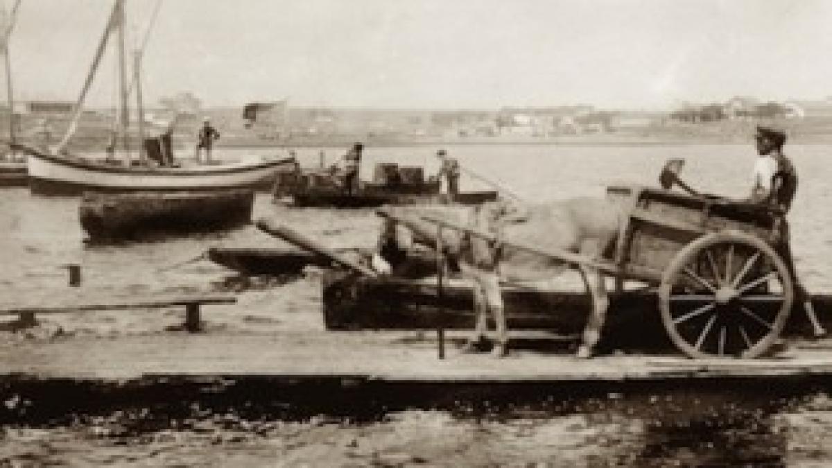 zilele_muzeului_taranului