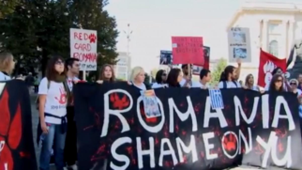 Screen-Shot-2013-09-21-at-4.34.44-PM