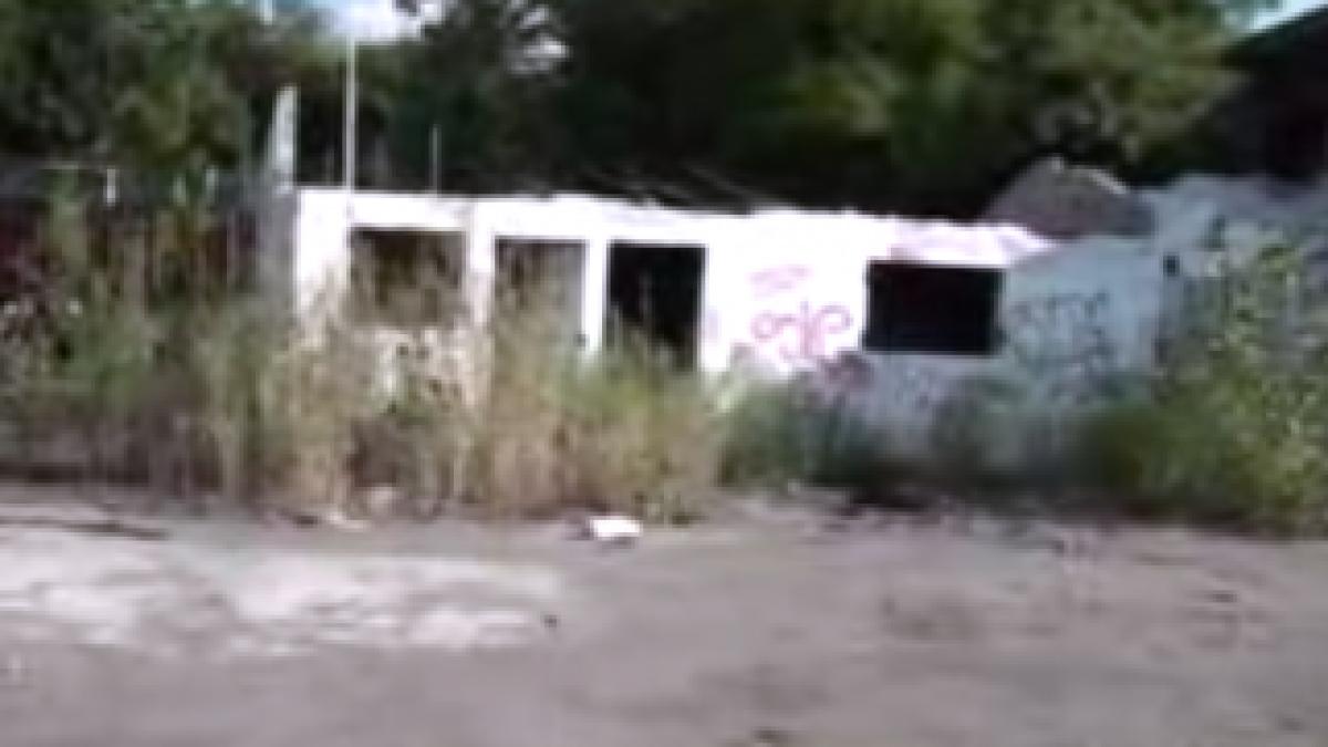 Screen-Shot-2013-09-23-at-1.49.42-PM