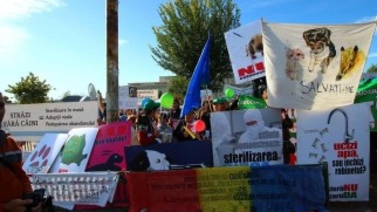 1375721_10151610761131644_702754054_n