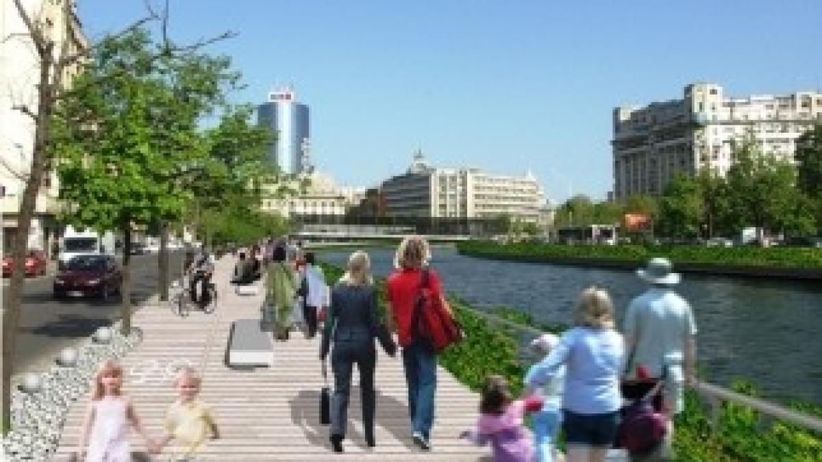 ion-027-cheiul-dbv-astil