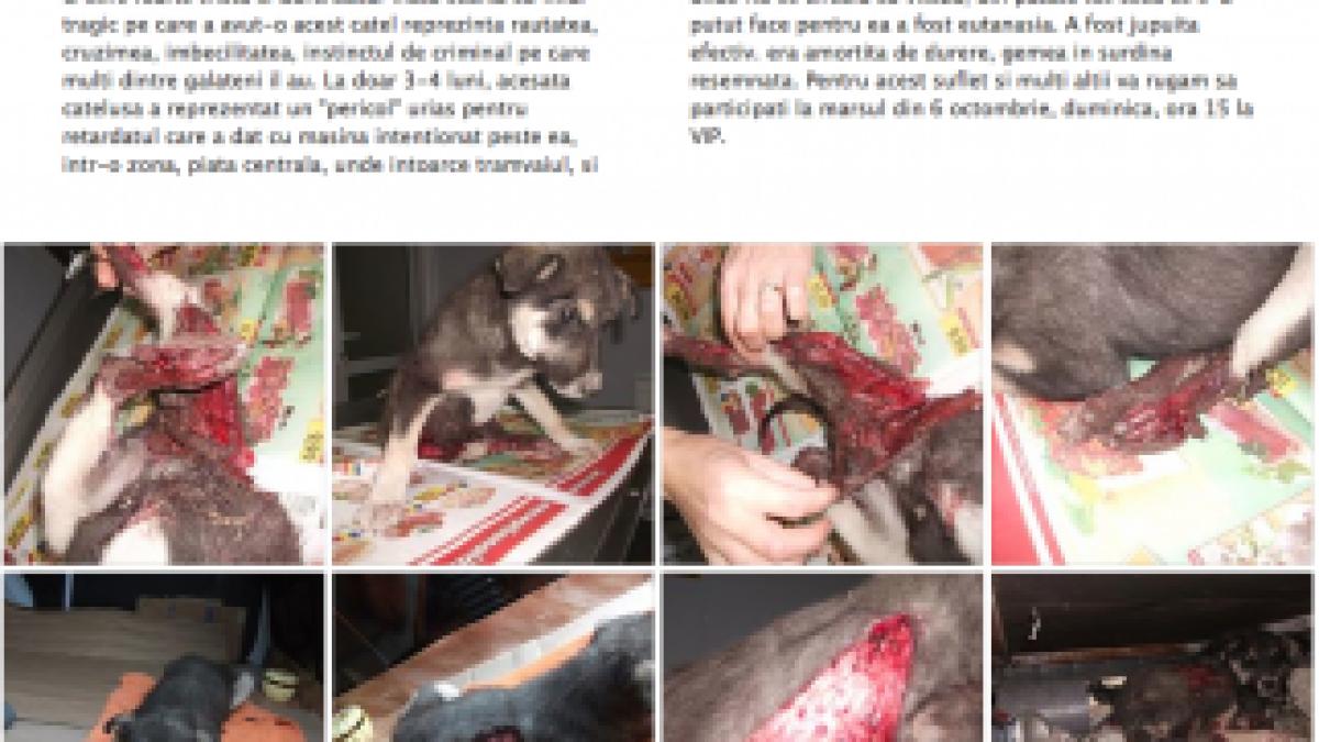 Screen-Shot-2013-10-04-at-8.30.13-PM