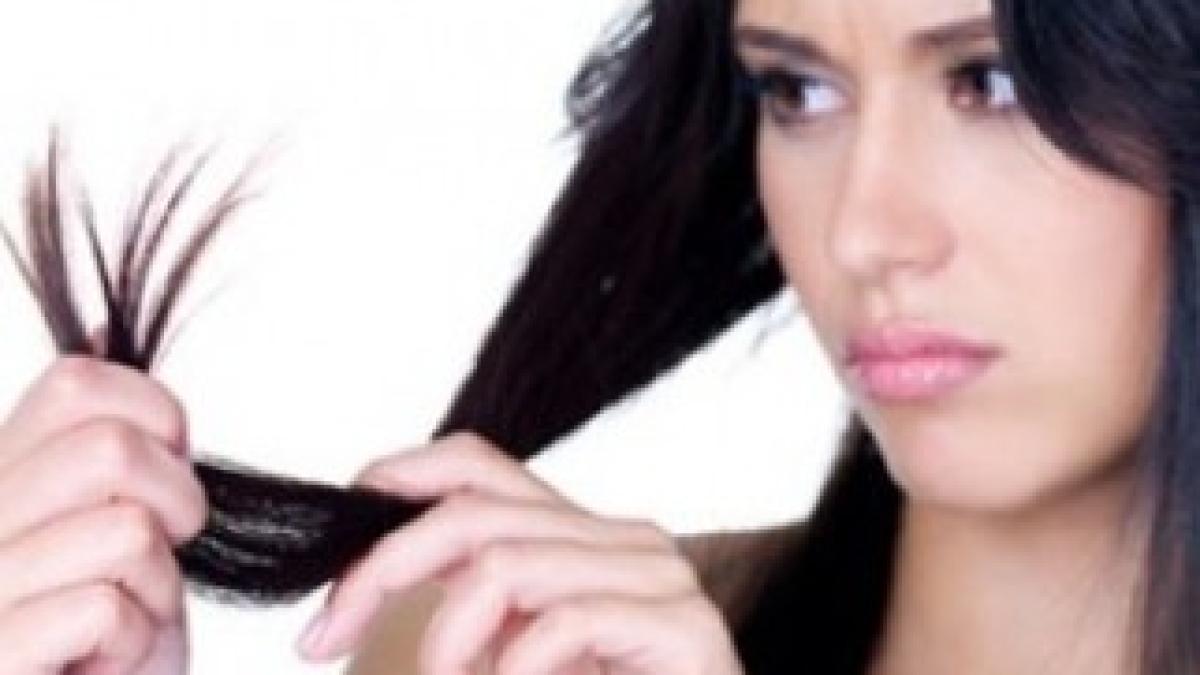 par-degradat-si-uscat1-300x300