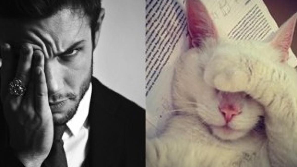 tumblr_mr7r7z4kHd1s77zr6o1_1280