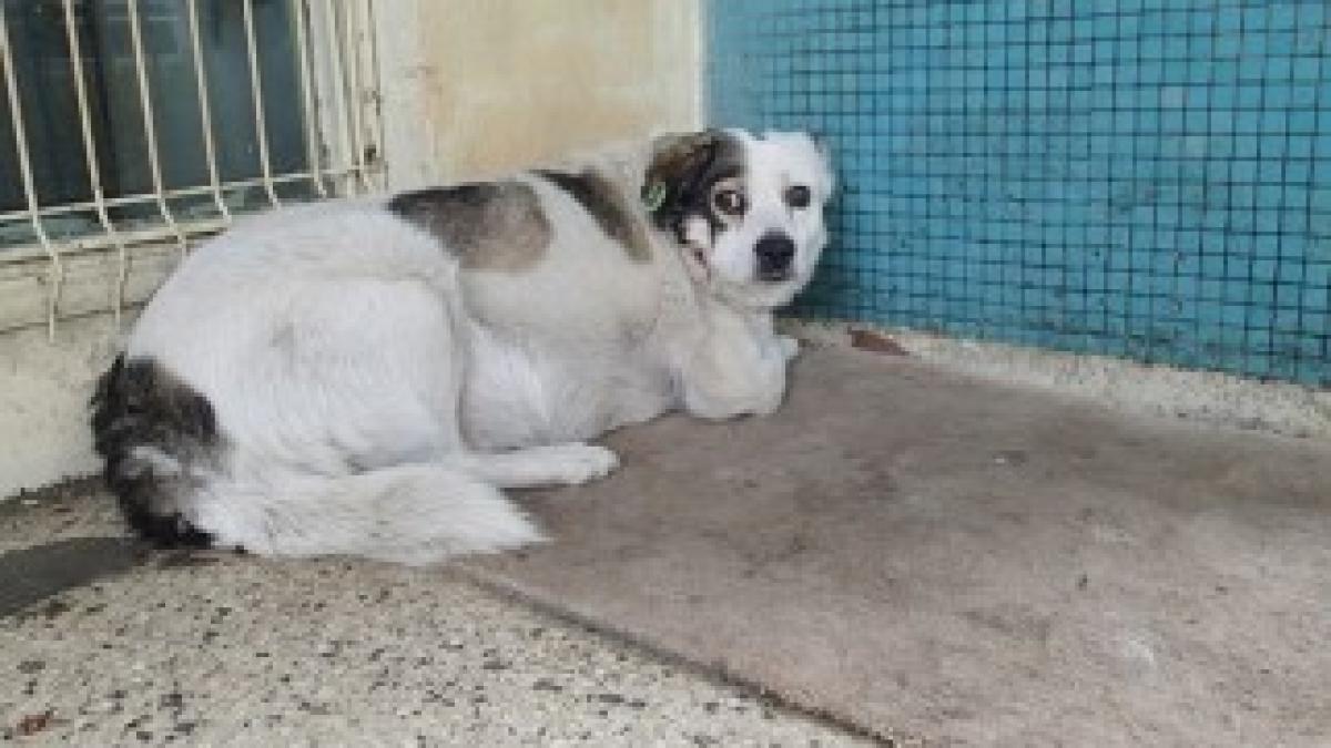 1380689_10151661179836644_1115835448_n