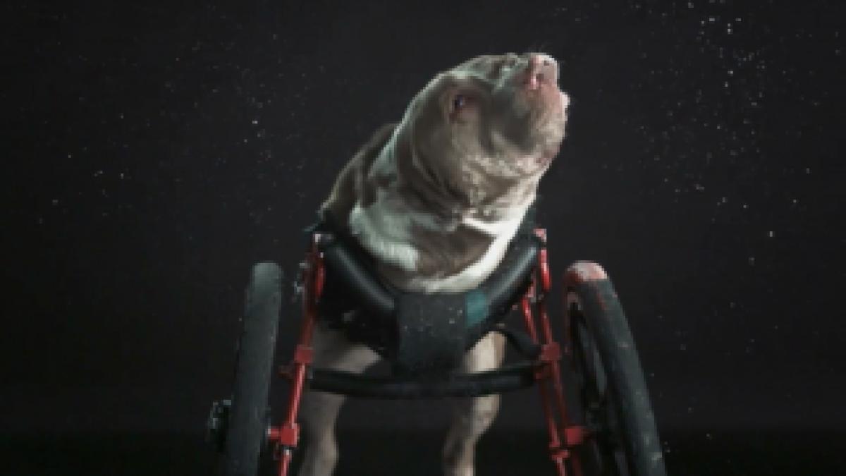 Screen-Shot-2013-11-02-at-1.15.56-PM