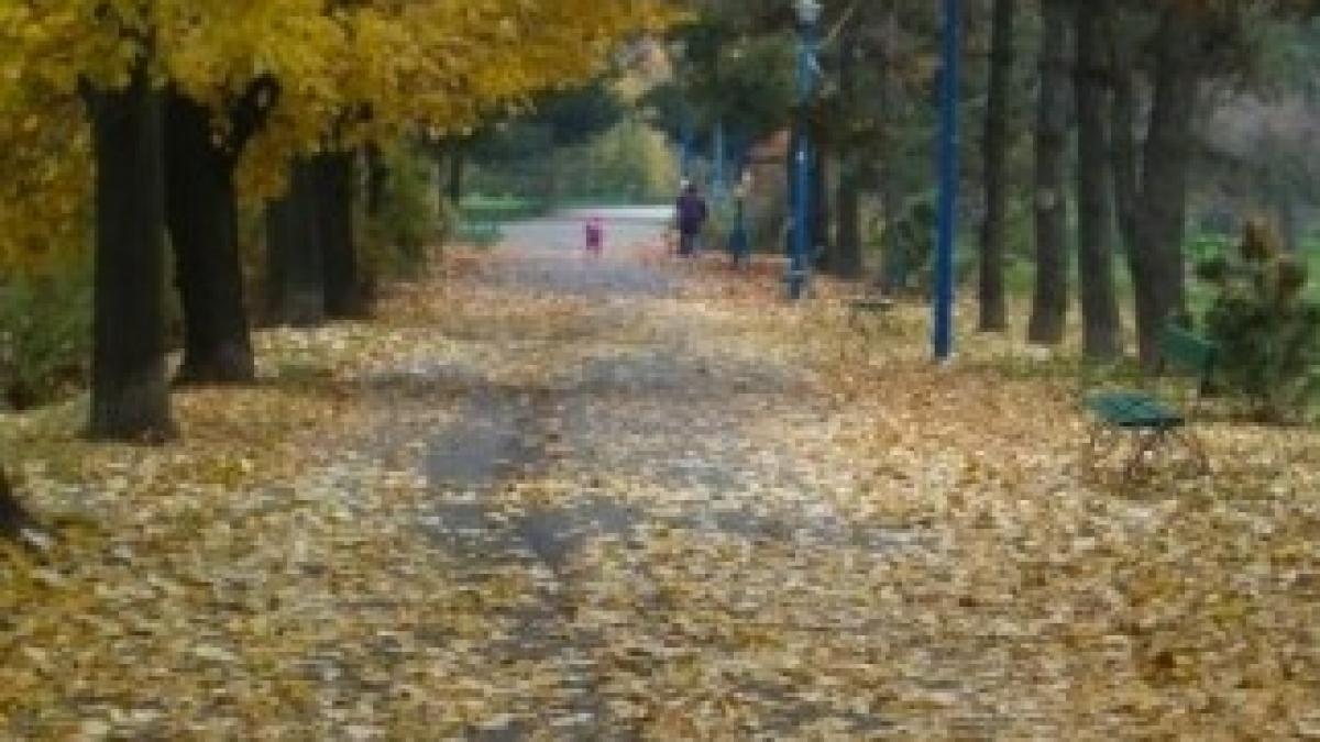 toamna-parc