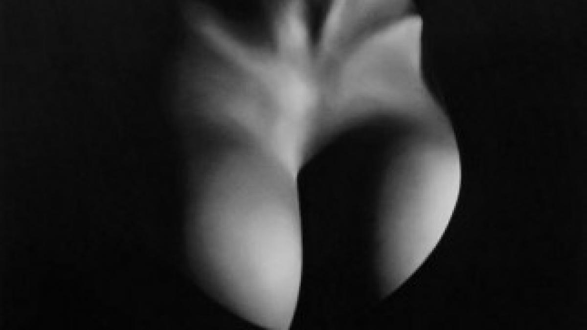 1382141_452322191554068_1960126495_n