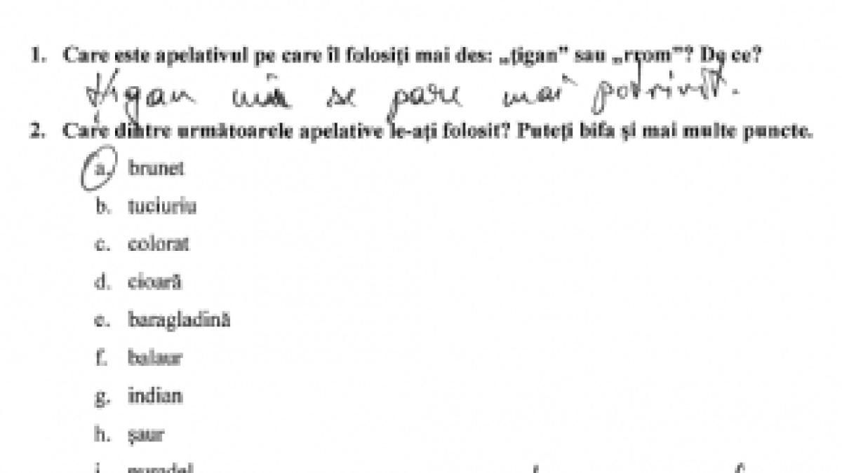 Screen-Shot-2013-12-03-at-12.18.34-PM