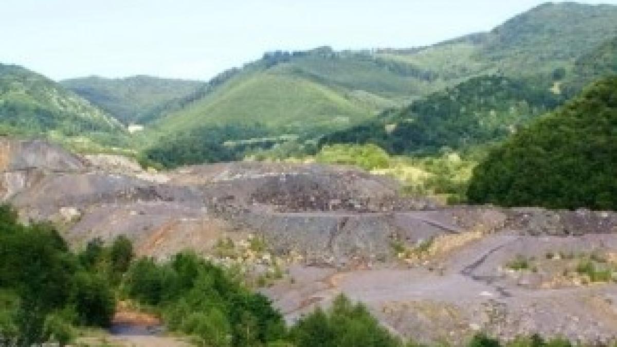 mina_aur_certej_89776500