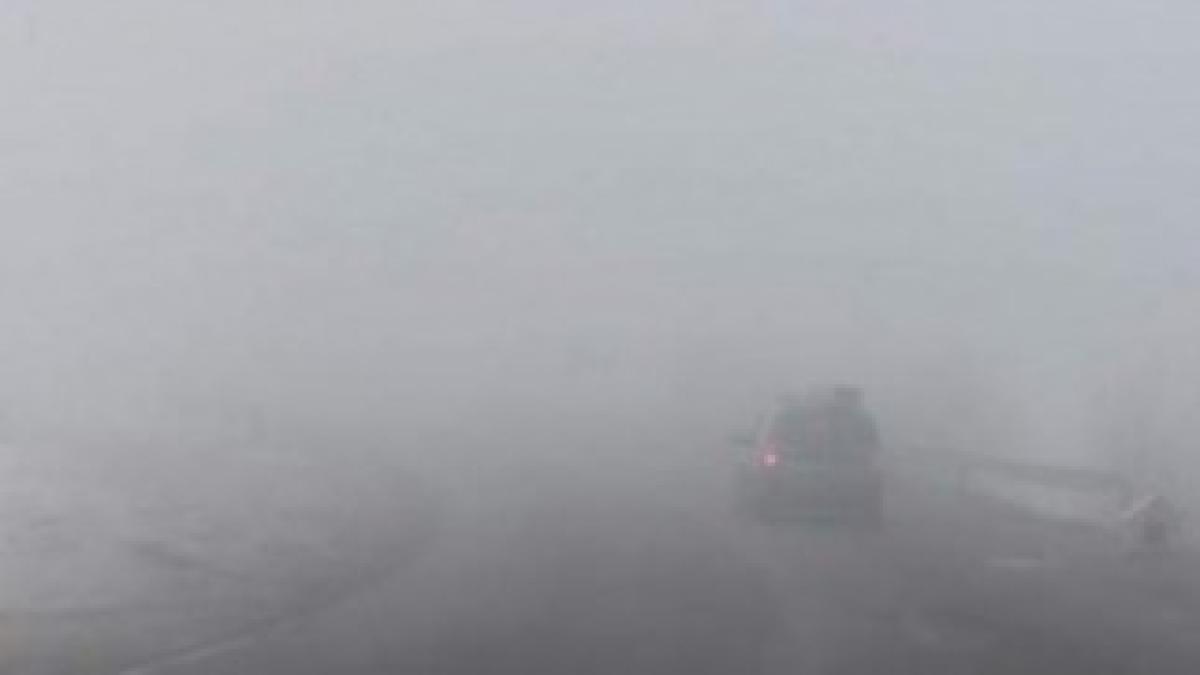 ceata_53111900_91303300_76981900