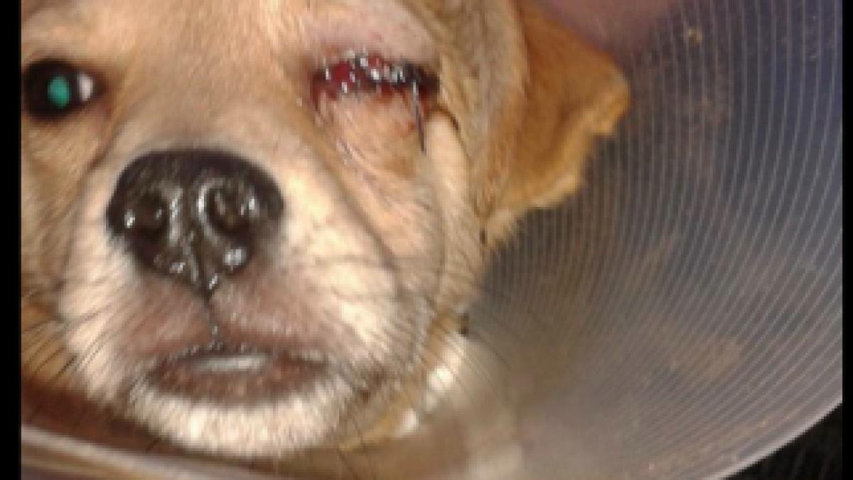 Screen-Shot-2014-01-03-at-11.20.43-PM