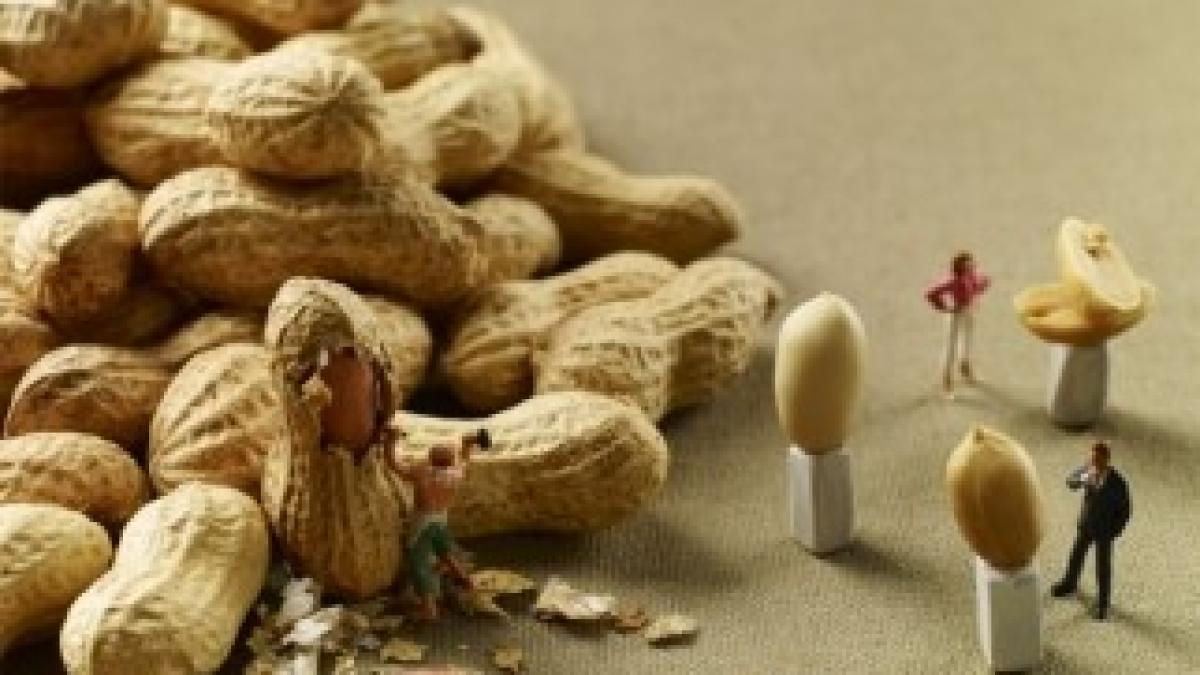 teatrul-din-farfurie-cele-mai-tari-poze-cu-mancare-facute-vreodata-galerie-foto_10