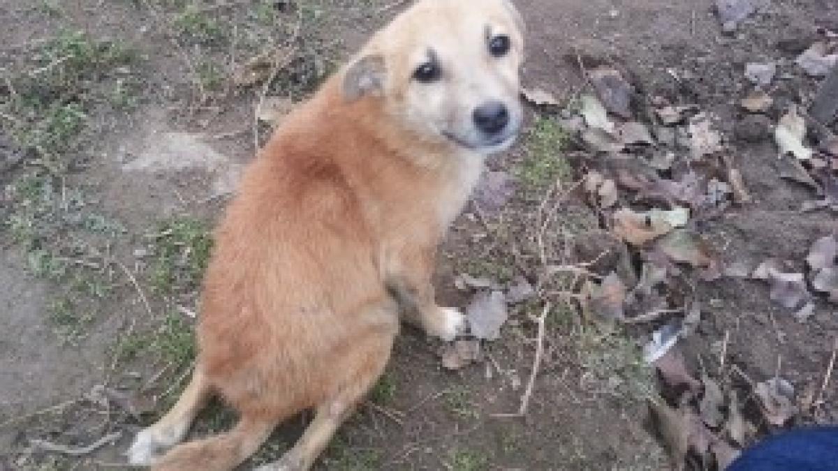 1535576_703142253040067_983526596_n