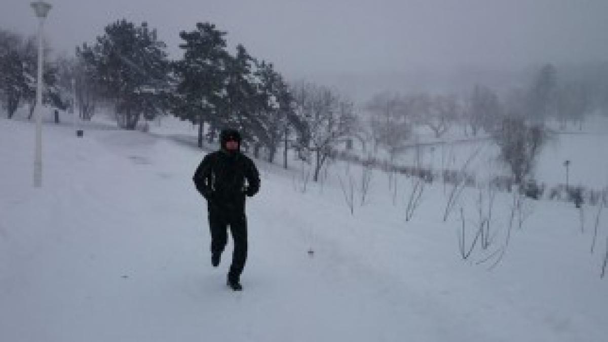 1689482_524056134360324_1146255788_n