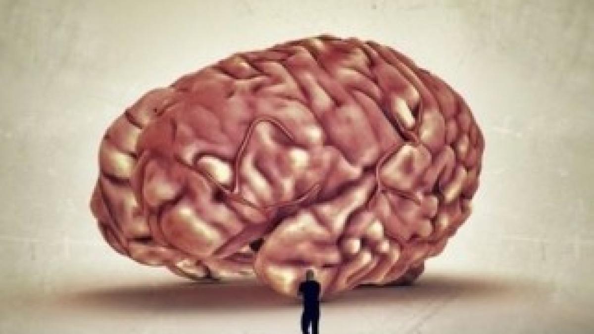 1964258_10201499375426612_2035276676_n