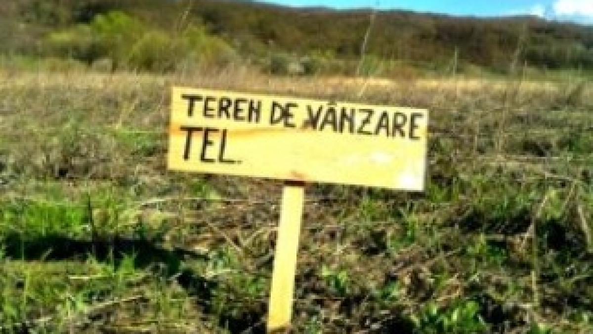 teren-de-vanzare-296x207