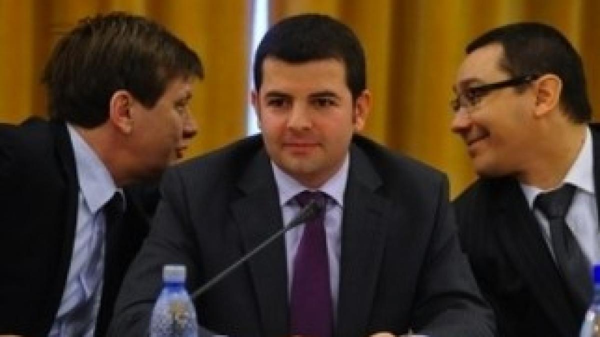 ponta-crin-constantin