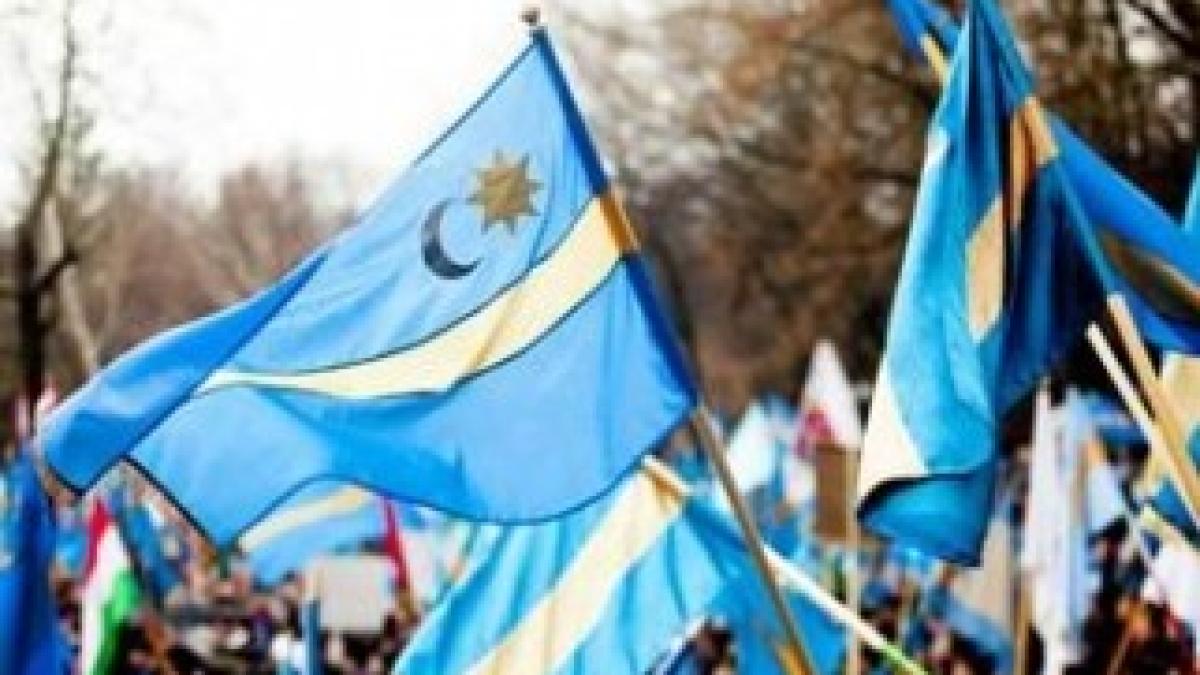 steaguri-secuiesti-carpe-albastre