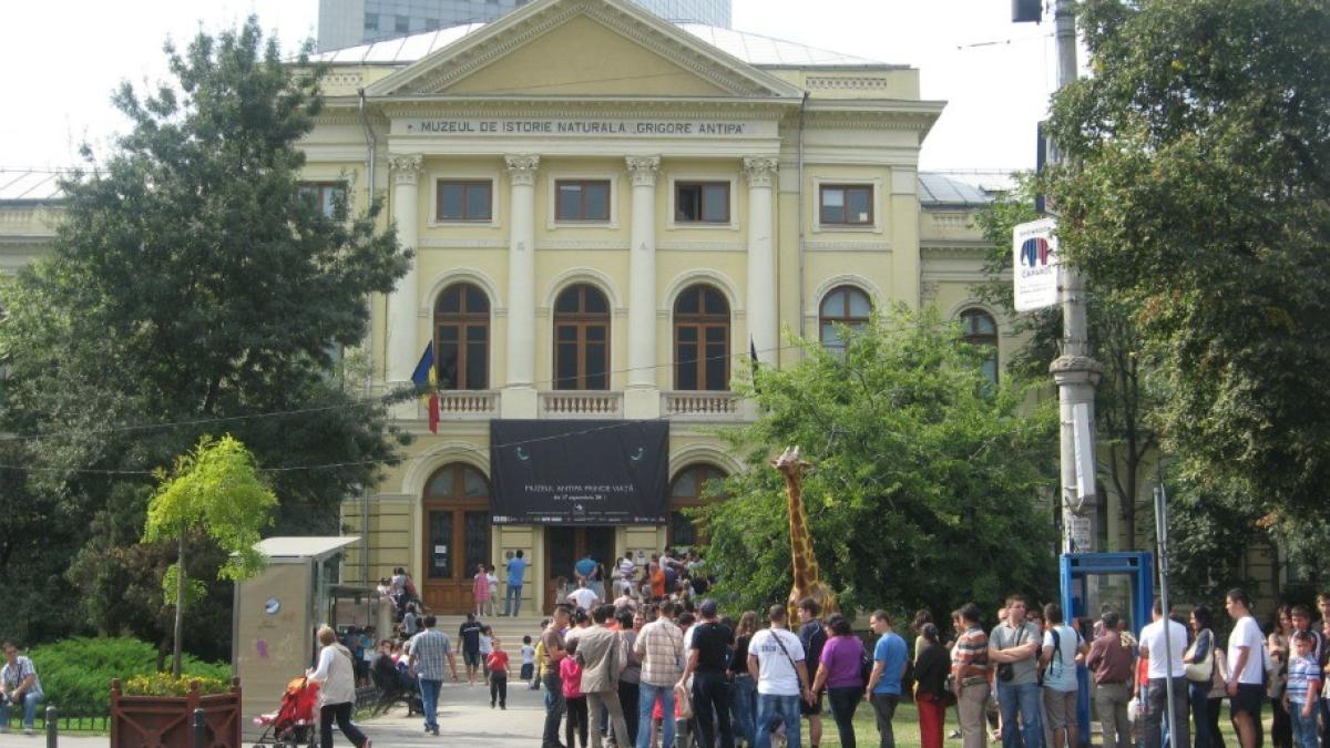 muzeul_antipa_27514000