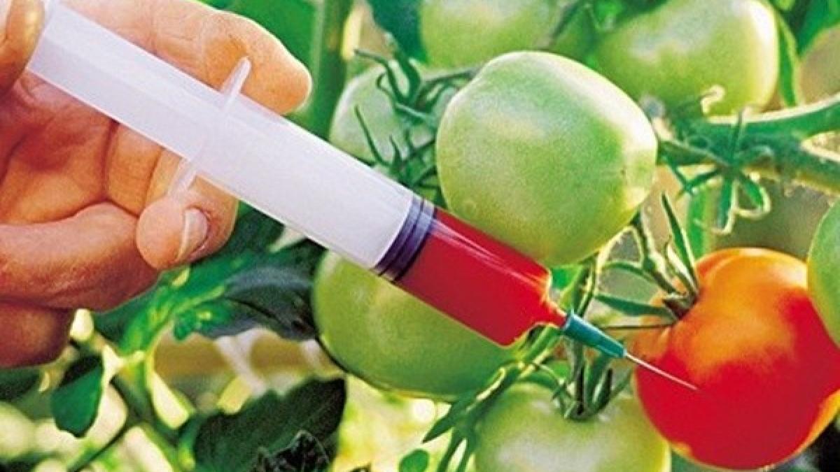 xeabd8pjnuiyktgql0srhvc6fm15729oz3w4_81764700