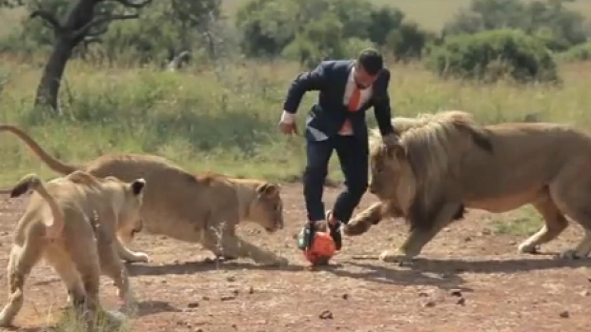 fotbal_97423800_63335600