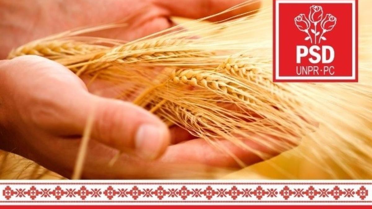 gethumb_details_php_79961200