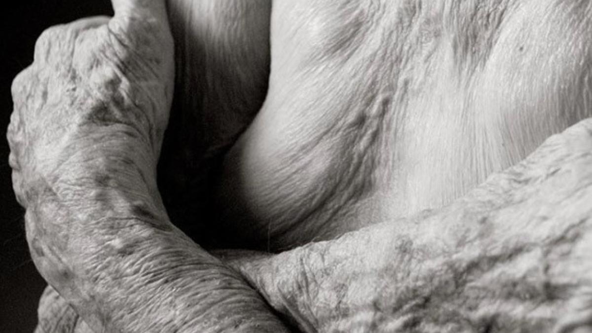 batrana_nud_3_40442000