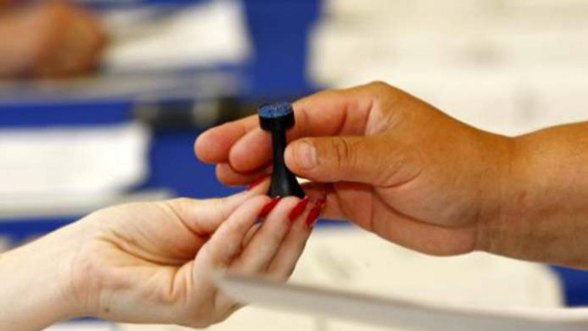 referendum_29iulie_vot_96150300