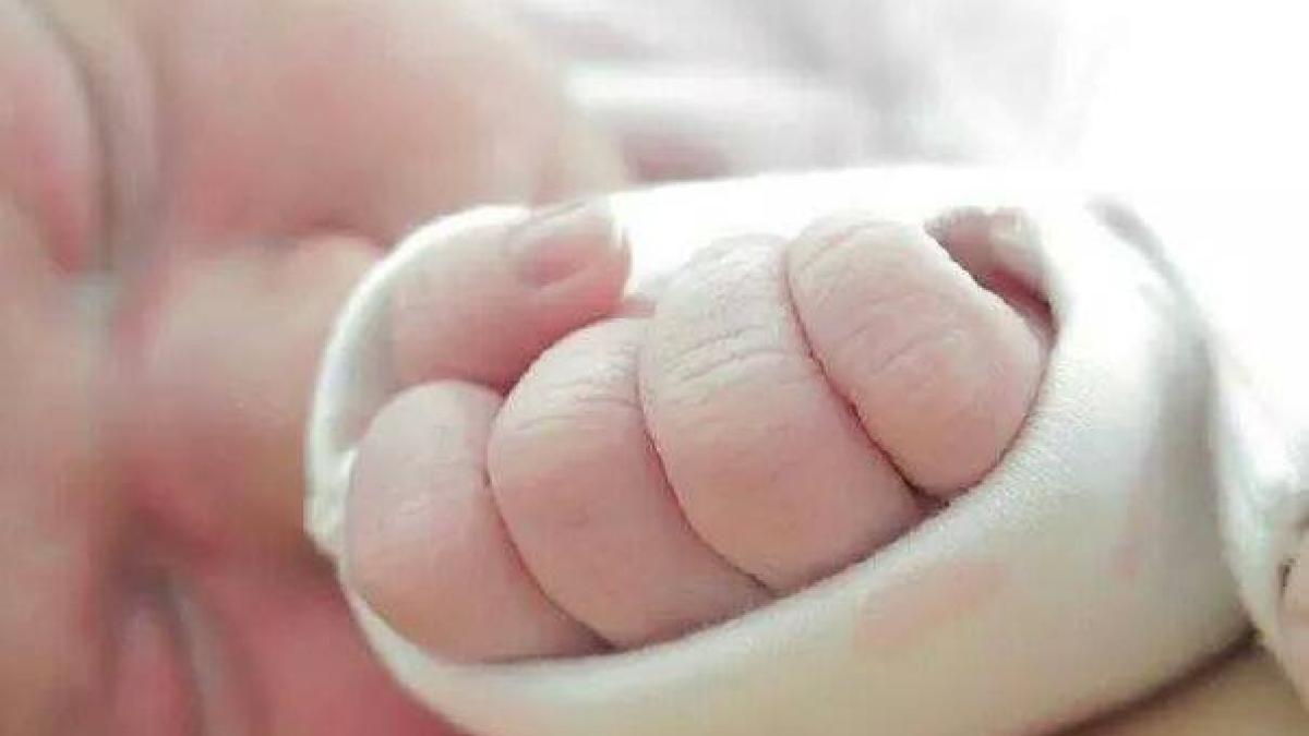 10373849_866483186714118_8939676234995958360_n_51635000