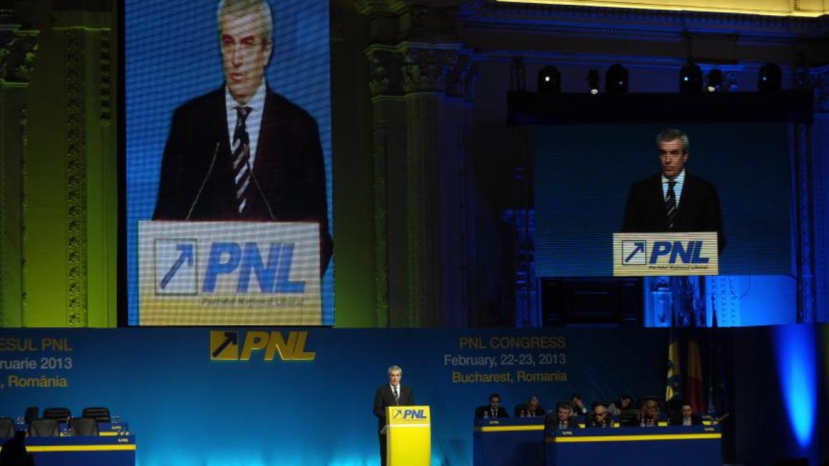 tariceanu_pnl_07349800