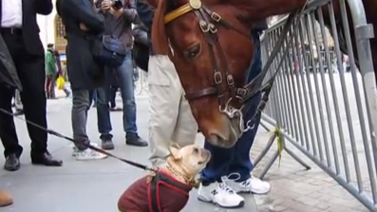 screen_shot_2014_05_30_at_7_38_09_pm_72738700