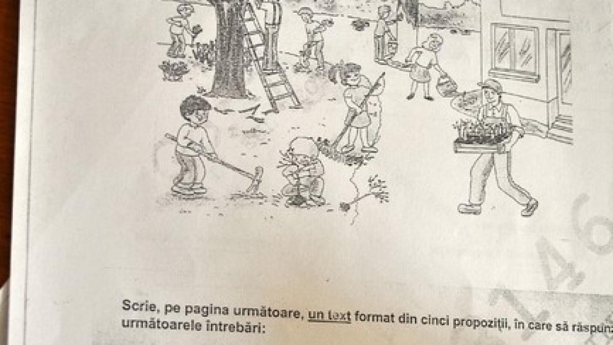 evaluare_nationala_clasa_a_ii_a_33693400